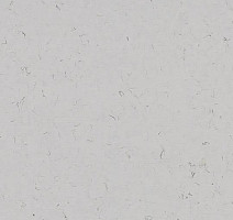 Кварцвиниловые полы Forbo Allura Colour/Colour Plus C68037-651037 cloud фото 1 | FLOORDEALER